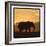 Radiant Africa 2-Susann Parker-Framed Photographic Print