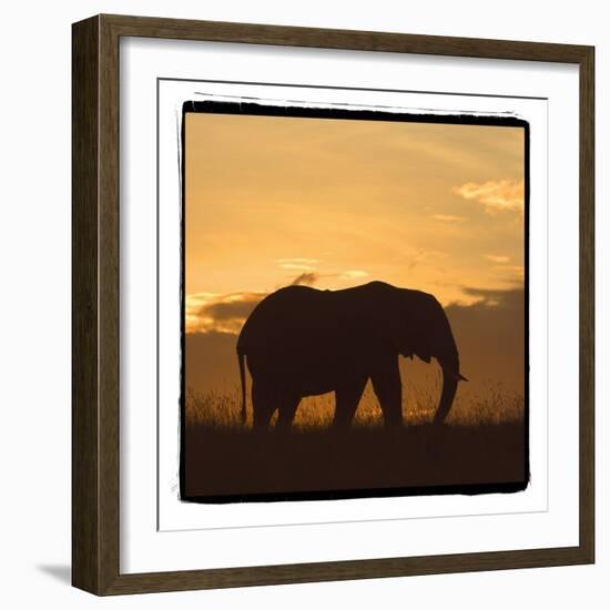 Radiant Africa 2-Susann Parker-Framed Photographic Print