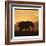 Radiant Africa 2-Susann Parker-Framed Photographic Print