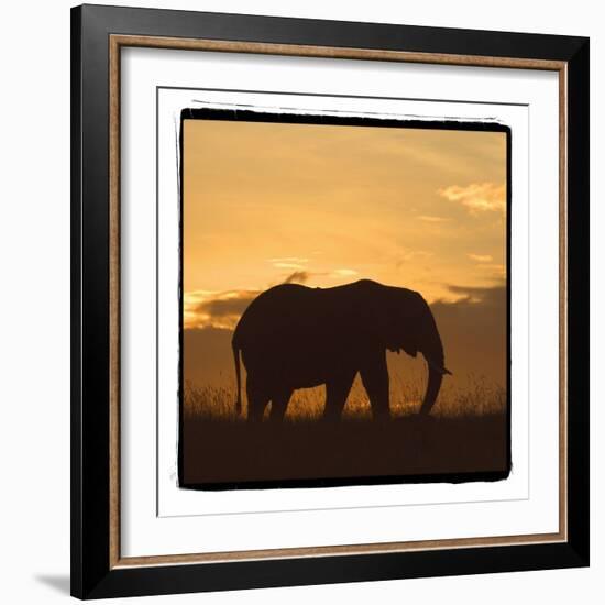 Radiant Africa 2-Susann Parker-Framed Photographic Print