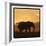 Radiant Africa 2-Susann Parker-Framed Photographic Print