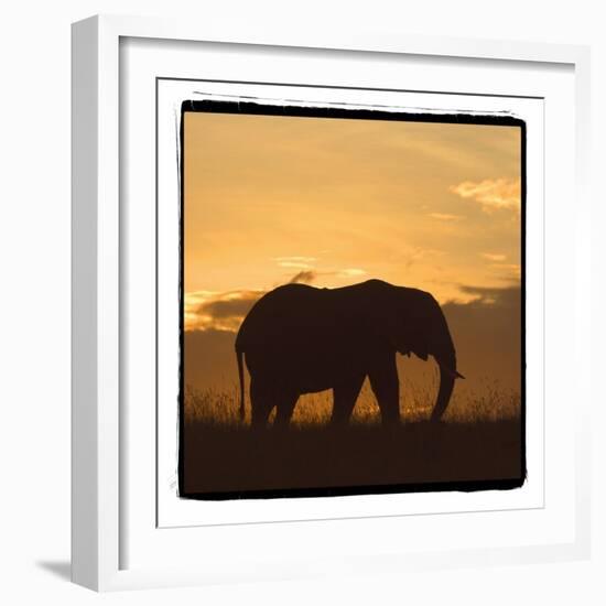 Radiant Africa 2-Susann Parker-Framed Photographic Print