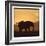 Radiant Africa 2-Susann Parker-Framed Photographic Print