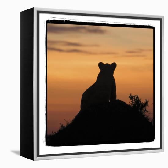 Radiant Africa 3-Susann Parker-Framed Premier Image Canvas