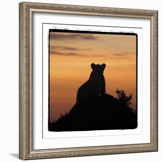 Radiant Africa 3-Susann Parker-Framed Photographic Print