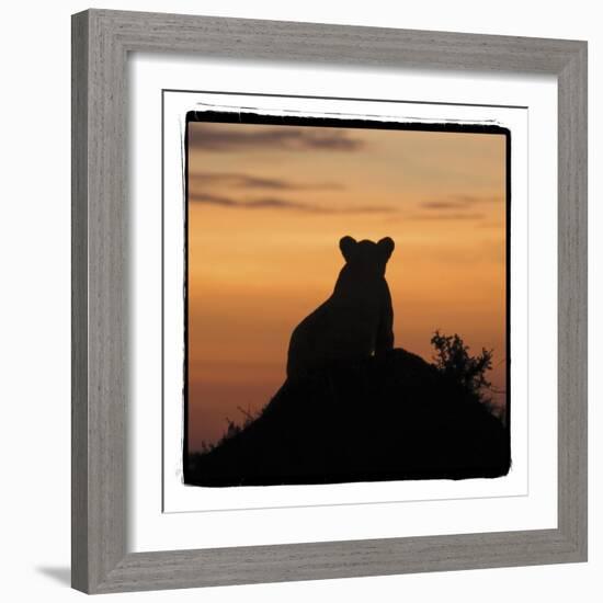 Radiant Africa 3-Susann Parker-Framed Photographic Print