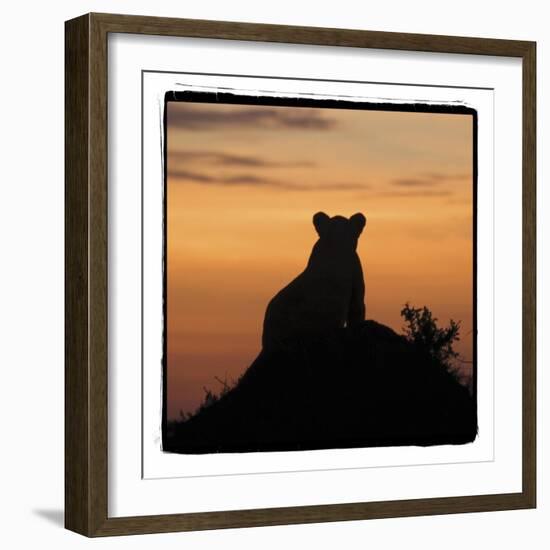 Radiant Africa 3-Susann Parker-Framed Photographic Print