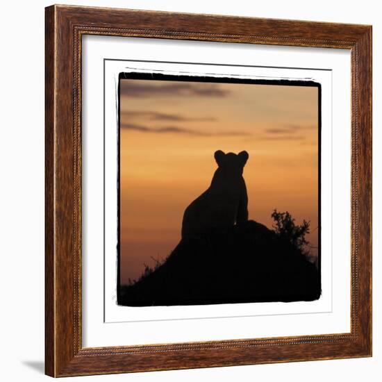 Radiant Africa 3-Susann Parker-Framed Photographic Print