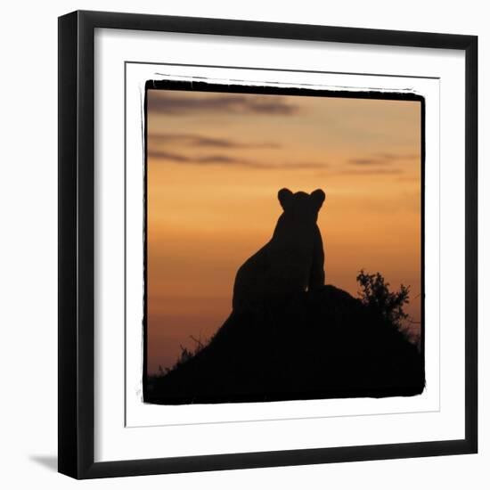 Radiant Africa 3-Susann Parker-Framed Photographic Print