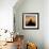 Radiant Africa 3-Susann Parker-Framed Photographic Print displayed on a wall