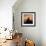 Radiant Africa 3-Susann Parker-Framed Photographic Print displayed on a wall