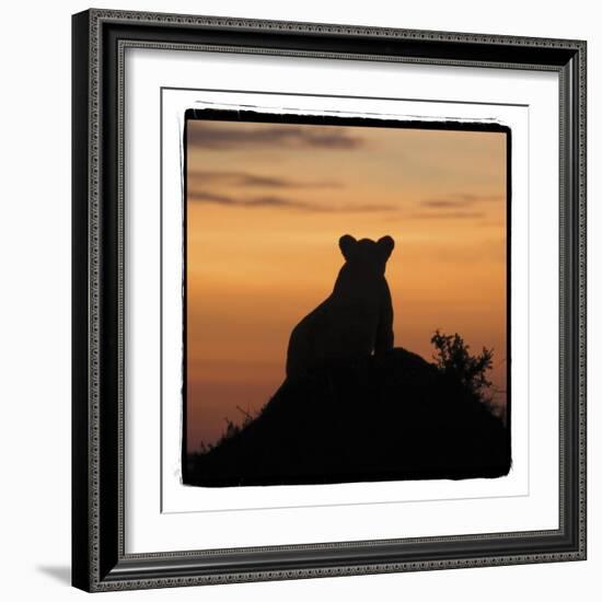 Radiant Africa 3-Susann Parker-Framed Photographic Print