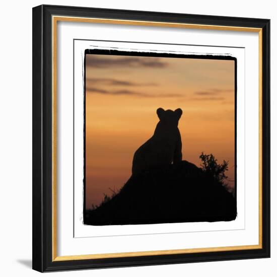 Radiant Africa 3-Susann Parker-Framed Photographic Print