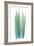 Radiant Bamboo Leaf 1-Albert Koetsier-Framed Premium Giclee Print