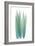 Radiant Bamboo Leaf 1-Albert Koetsier-Framed Premium Giclee Print