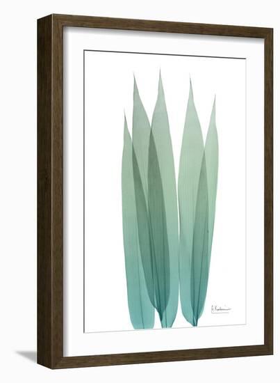 Radiant Bamboo Leaf 1-Albert Koetsier-Framed Premium Giclee Print