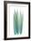 Radiant Bamboo Leaf 1-Albert Koetsier-Framed Premium Giclee Print