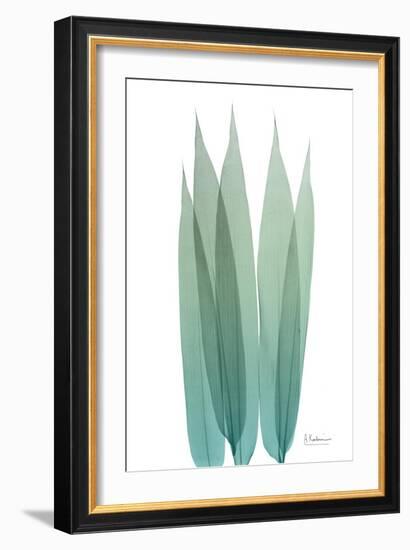 Radiant Bamboo Leaf 1-Albert Koetsier-Framed Premium Giclee Print