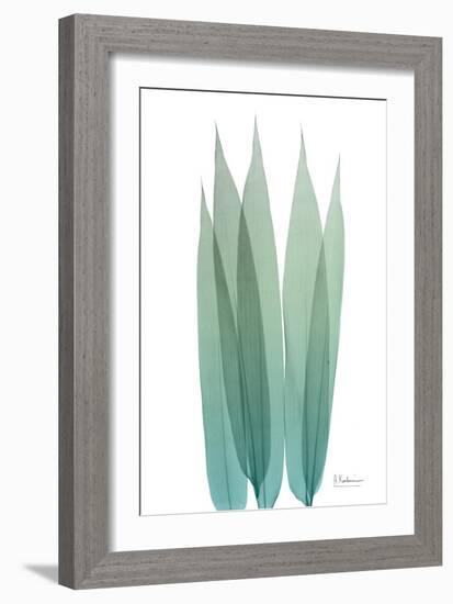 Radiant Bamboo Leaf 1-Albert Koetsier-Framed Art Print