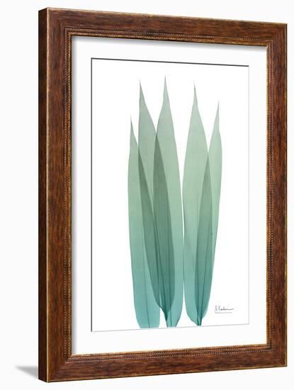 Radiant Bamboo Leaf 1-Albert Koetsier-Framed Art Print