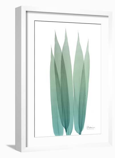 Radiant Bamboo Leaf 1-Albert Koetsier-Framed Art Print