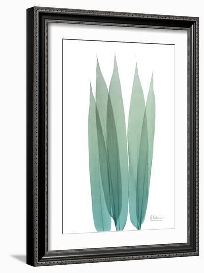 Radiant Bamboo Leaf 1-Albert Koetsier-Framed Art Print