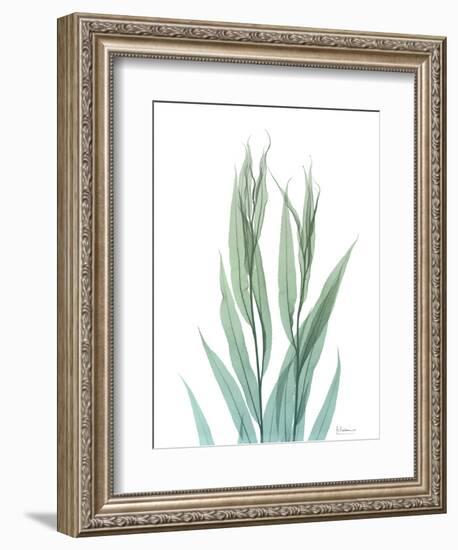 Radiant Bamboo Leaf 2-Albert Koetsier-Framed Art Print