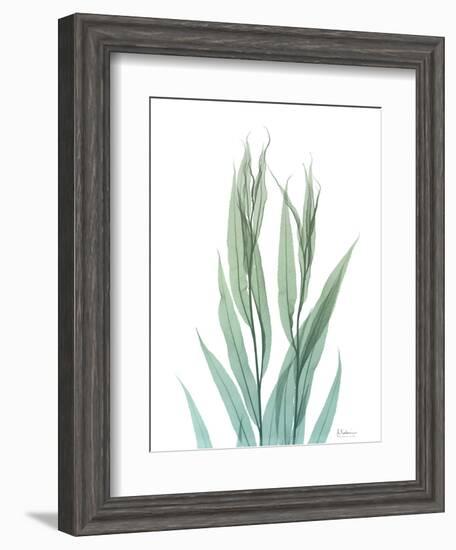 Radiant Bamboo Leaf 2-Albert Koetsier-Framed Art Print