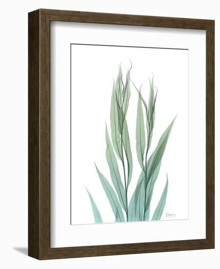 Radiant Bamboo Leaf 2-Albert Koetsier-Framed Art Print