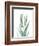 Radiant Bamboo Leaf 2-Albert Koetsier-Framed Art Print