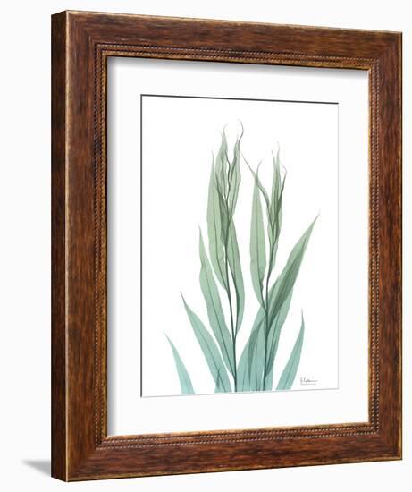 Radiant Bamboo Leaf 2-Albert Koetsier-Framed Art Print