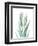 Radiant Bamboo Leaf 2-Albert Koetsier-Framed Art Print