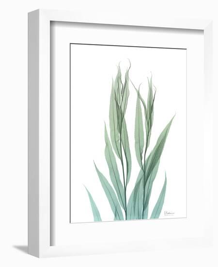 Radiant Bamboo Leaf 2-Albert Koetsier-Framed Art Print