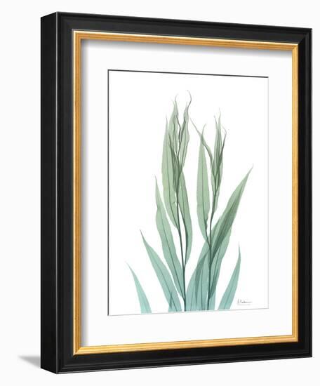 Radiant Bamboo Leaf 2-Albert Koetsier-Framed Art Print