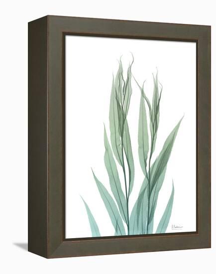 Radiant Bamboo Leaf 2-Albert Koetsier-Framed Stretched Canvas