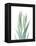 Radiant Bamboo Leaf 2-Albert Koetsier-Framed Stretched Canvas