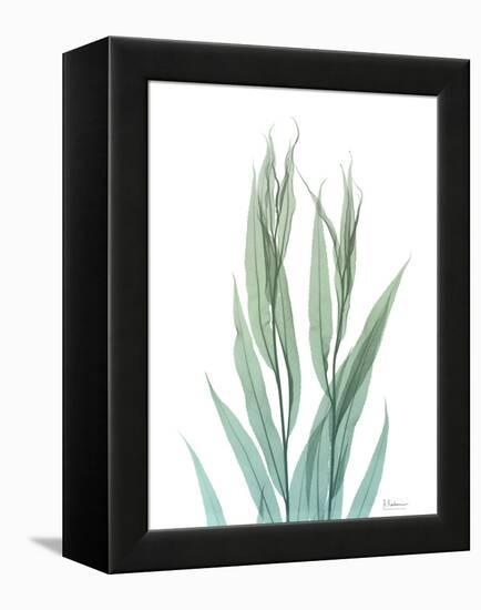 Radiant Bamboo Leaf 2-Albert Koetsier-Framed Stretched Canvas