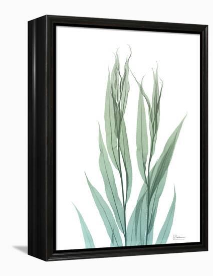 Radiant Bamboo Leaf 2-Albert Koetsier-Framed Stretched Canvas