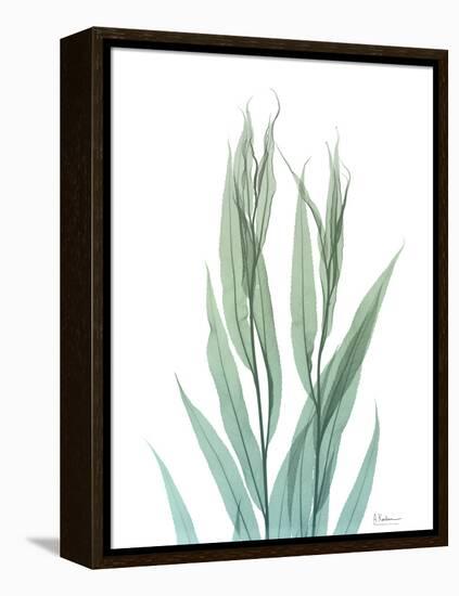 Radiant Bamboo Leaf 2-Albert Koetsier-Framed Stretched Canvas