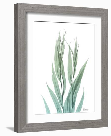 Radiant Bamboo Leaf 2-Albert Koetsier-Framed Art Print