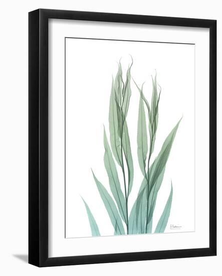 Radiant Bamboo Leaf 2-Albert Koetsier-Framed Art Print