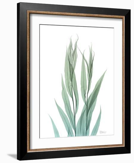 Radiant Bamboo Leaf 2-Albert Koetsier-Framed Premium Giclee Print