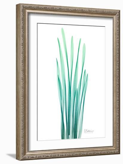 Radiant Bamboo Leaf-Albert Koetsier-Framed Art Print
