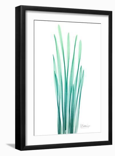 Radiant Bamboo Leaf-Albert Koetsier-Framed Art Print