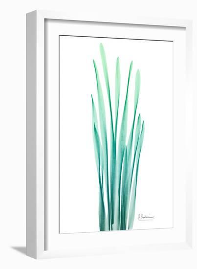 Radiant Bamboo Leaf-Albert Koetsier-Framed Art Print