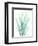 Radiant Banksia-Albert Koetsier-Framed Art Print