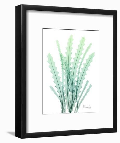 Radiant Banksia-Albert Koetsier-Framed Art Print