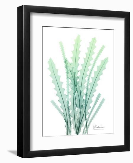 Radiant Banksia-Albert Koetsier-Framed Art Print