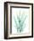 Radiant Banksia-Albert Koetsier-Framed Art Print