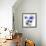 Radiant Bloom 1-Albert Koetsier-Framed Photographic Print displayed on a wall